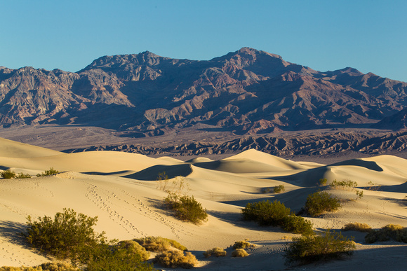 Mesquite Dunes Death Valley
